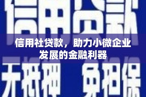 燕巢信用社贷款，助力小微企业发展的金融利器