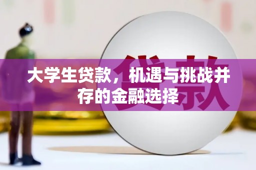 燕巢大学生贷款，机遇与挑战并存的金融选择