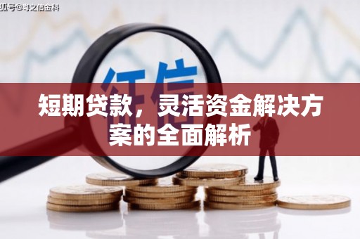 燕巢短期贷款，灵活资金解决方案的全面解析