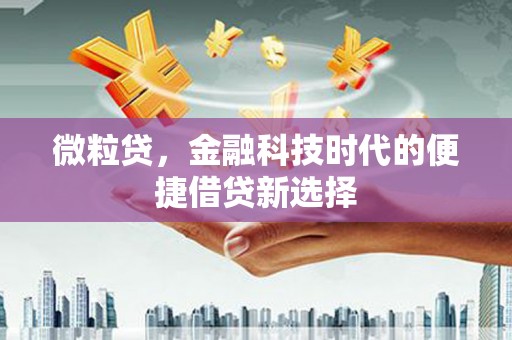 燕巢微粒贷，金融科技时代的便捷借贷新选择