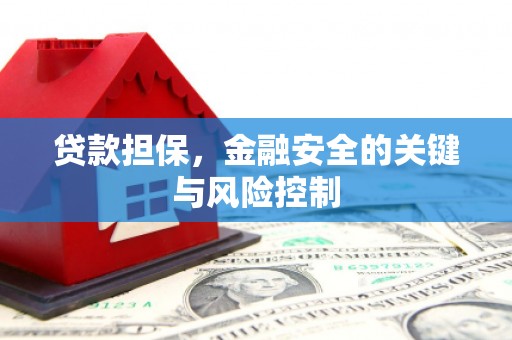 燕巢贷款担保，金融安全的关键与风险控制