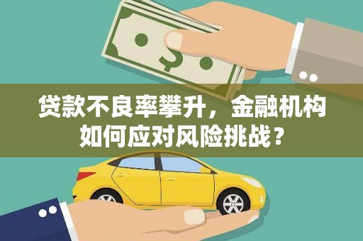 燕巢贷款不良率攀升，金融机构如何应对风险挑战？