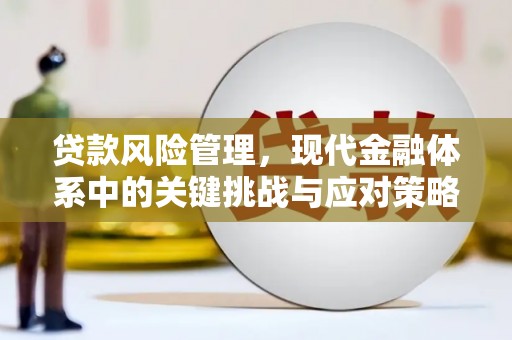 燕巢贷款风险管理，现代金融体系中的关键挑战与应对策略