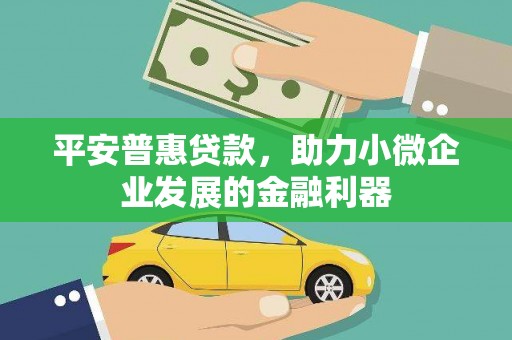 燕巢平安普惠贷款，助力小微企业发展的金融利器