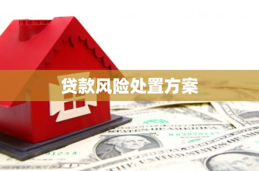 燕巢贷款风险处置方案