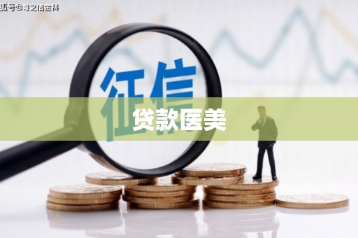 燕巢贷款医美