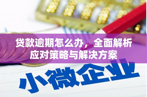 燕巢贷款逾期怎么办，全面解析应对策略与解决方案