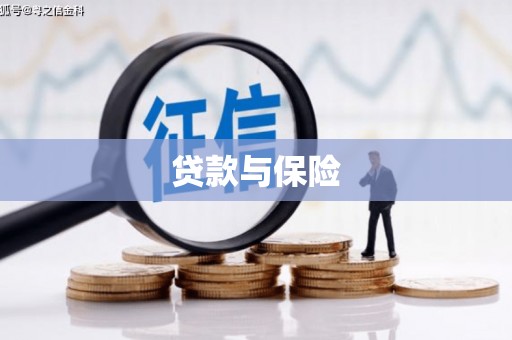 燕巢贷款与保险