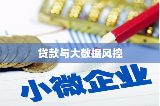 燕巢贷款与大数据风控