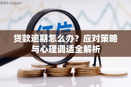 燕巢贷款逾期怎么办？应对策略与心理调适全解析